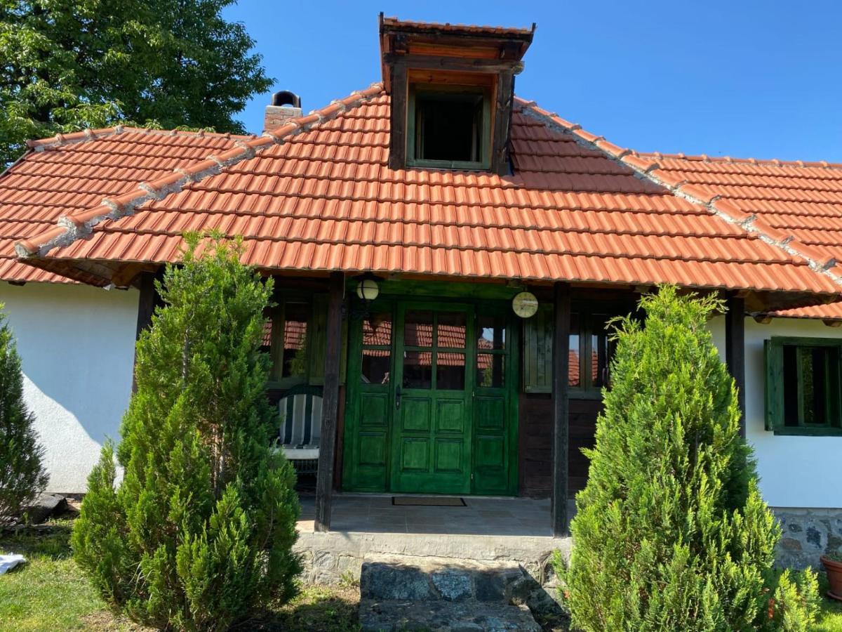 Camp Viljamovka Lejlighed Kremna Eksteriør billede